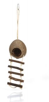 Kokosnoothuisje+Ladder - Knaagdierspeelgoed - 30 cm