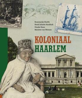 Koloniaal Haarlem -  Dineke Stam (ISBN: 9789491936449)