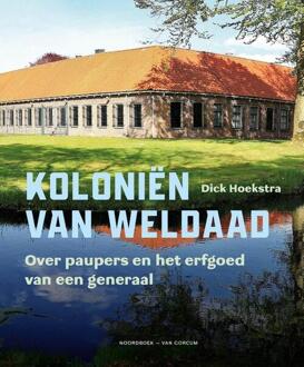 Koloniën van weldaad -  Dick Hoekstra (ISBN: 9789464712919)