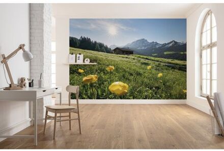 Komar Fotobehang - Alpenglück 400x280cm - Vliesbehang Multikleur