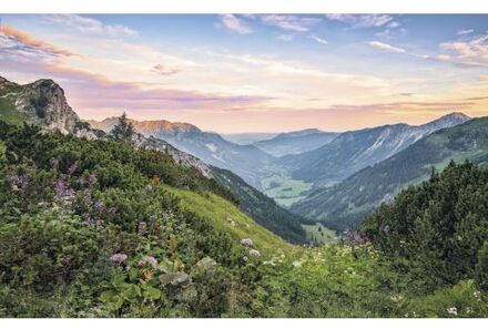 Komar Fotobehang - Alps 400x250cm - Vliesbehang Multikleur