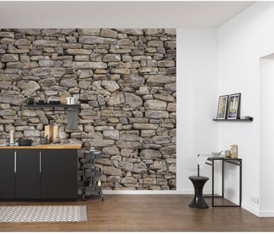 Komar Fotobehang Amaury - Bruin - 2,50m X 300cm