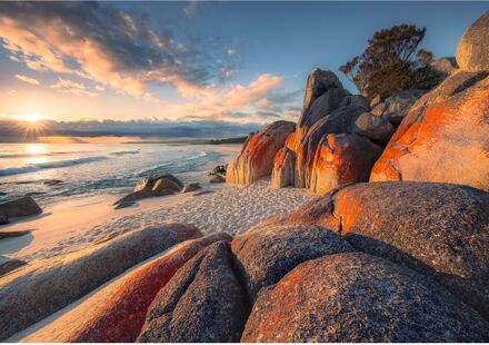 Komar Fotobehang - Bay of Fires 400x280cm - Vliesbehang Multikleur