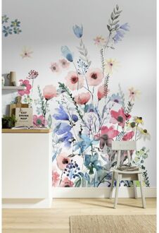 Komar Fotobehang Bayonne - Meerkleurig - 2,50m X 200cm