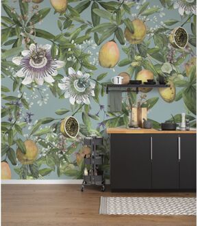 Komar Fotobehang Bellezza - Meerkleurig - 2,50m X 300cm