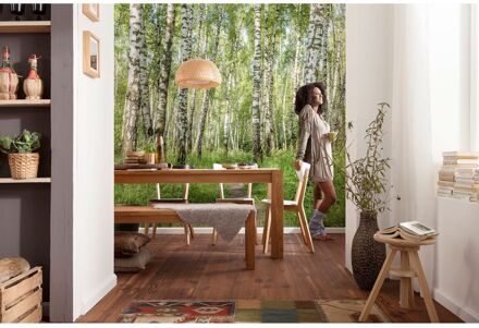 Komar Fotobehang Berkenbos - Groen - 2,50m X 300cm