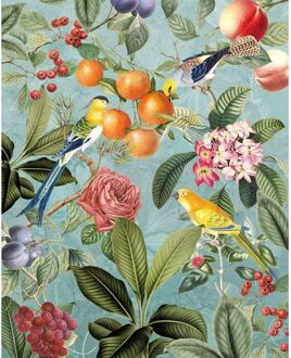 Komar Fotobehang - Birds and Berries 200x250cm - Vliesbehang Multikleur