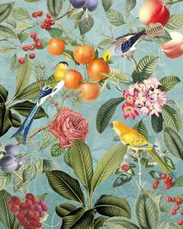 Komar Fotobehang - Birds and Berries 200x250cm - Vliesbehang Multikleur