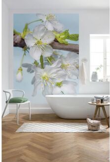 Komar Fotobehang - Blossom 184x248cm - Vliesbehang Multikleur