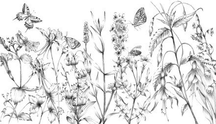 Komar Fotobehang - Butterfly Field 400x250cm - Vliesbehang Multikleur