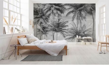 Komar Fotobehang Coco Paradise - Grijs - 2,50m X 350cm
