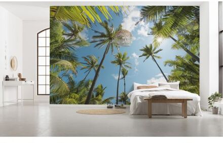 Komar Fotobehang - Coconut Heaven 450x280cm - Vliesbehang Multikleur