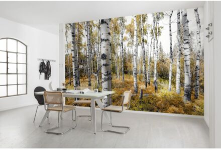 Komar Fotobehang - Colorful Aspenwoods 450x280cm - Vliesbehang Multikleur