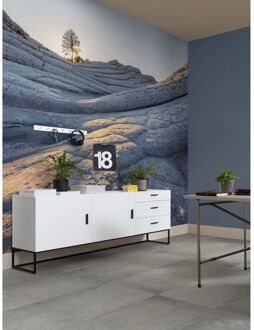 Komar Fotobehang Elephant Skin - Blauw - 2,50m X 400cm