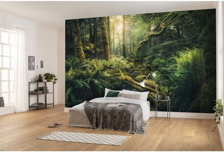 Komar Fotobehang - Elves Cathedral 450x280cm - Vliesbehang Multikleur