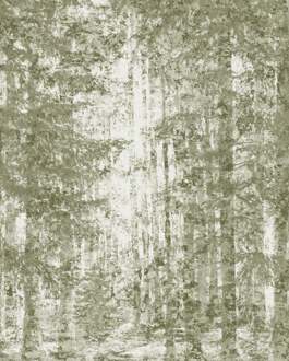 Komar Fotobehang - Fading Forest 200x250cm - Vliesbehang Divers - 200x250 cm