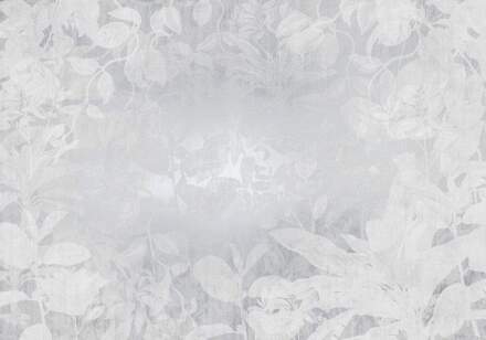 Komar Fotobehang - Flora 400x280cm - Vliesbehang Multikleur