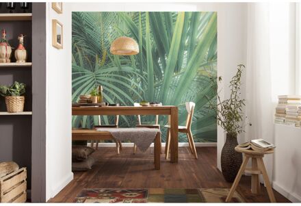 Komar Fotobehang Foggy Fern - Groen - 2,50m X 400cm