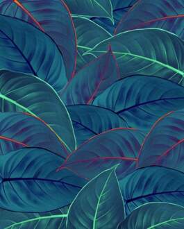 Komar Fotobehang - Foliage 200x250cm - Vliesbehang Multikleur