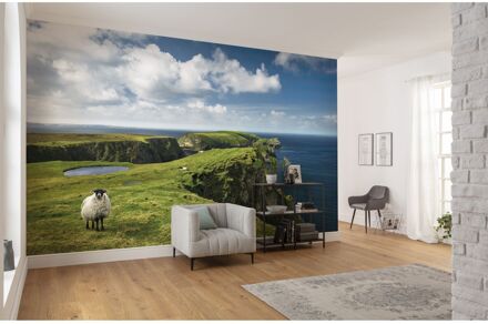 Komar Fotobehang - Green Ireland 450x280cm - Vliesbehang Multikleur