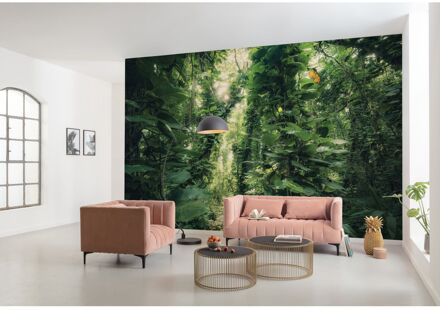 Komar Fotobehang - Green Leaves 450x280cm - Vliesbehang Multikleur