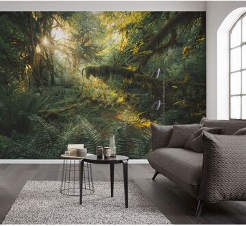 Komar Fotobehang Hall Of Mosses - Groen - 2,50m X 400cm