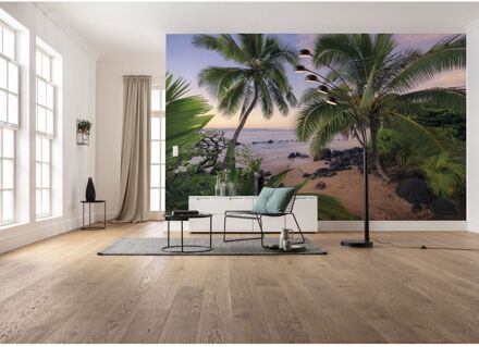 Komar Fotobehang - Hawaiian Dreams 450x280cm - Vliesbehang Multikleur