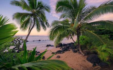 Komar Fotobehang - Hawaiian Dreams 450x280cm - Vliesbehang Multikleur
