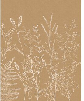 Komar Fotobehang - Herbs Garden 200x250cm - Vliesbehang Multikleur