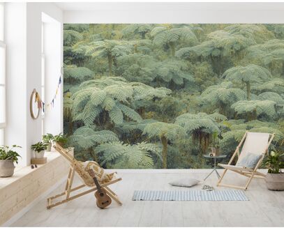 Komar Fotobehang Jungle Lands - Groen - 2,50m X 400cm