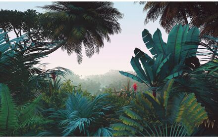 Komar Fotobehang - Jungle Morning 400x250cm - Vliesbehang Multikleur