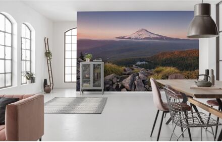 Komar Fotobehang - Kingdom of a Mountain 450x280cm - Vliesbehang Multikleur