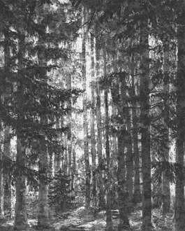 Komar Fotobehang - Lustres Lapland 200x250cm - Vliesbehang Divers - 200x250 cm