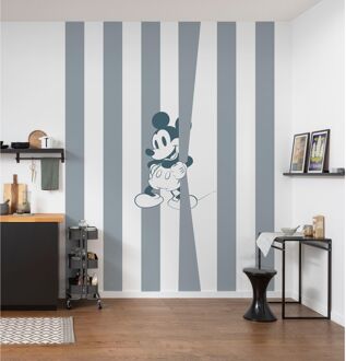 Komar Fotobehang Mickey Offbeat - Grijs - 2,50m X 200cm
