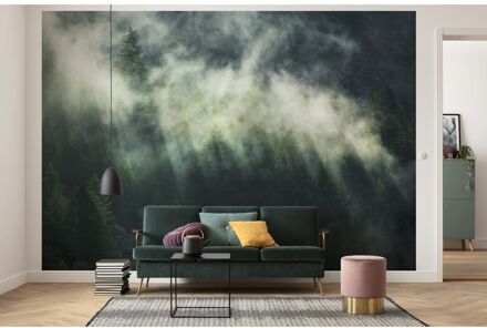 Komar Fotobehang - Misty Crowns 350x250cm - Vliesbehang Multikleur