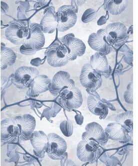 Komar Fotobehang - Orchidée 200x250cm - Vliesbehang Multikleur