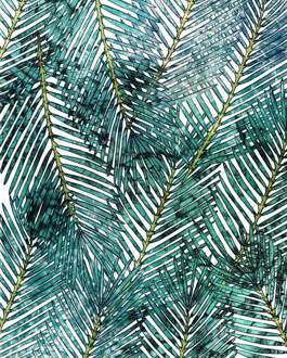 Komar Fotobehang - Palm Canopy 200x250cm - Vliesbehang Multikleur