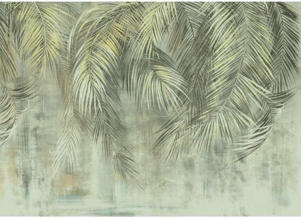 Komar Fotobehang - Palm Fronds 350x250cm - Vliesbehang Multikleur