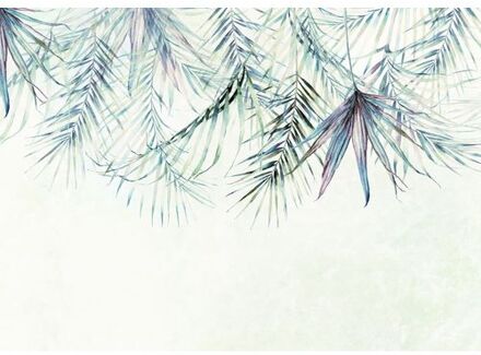 Komar Fotobehang Palm Spring Blauw En Groen - 350 X 250 Cm - 610027