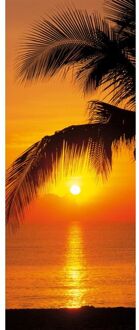 Komar Fotobehang - Palmy Beach Sunrise 92x220cm - Papierbehang Multikleur