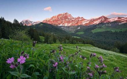 Komar Fotobehang - Picturesque Switzerland 450x280cm - Vliesbehang Multikleur