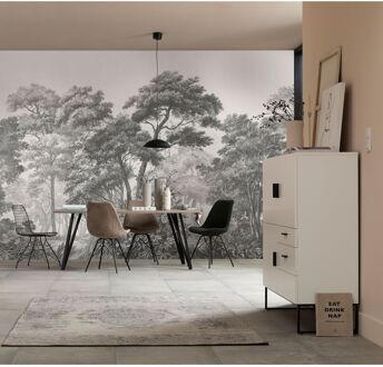 Komar Fotobehang Reiziger - Grijs - 2,50m X 350cm