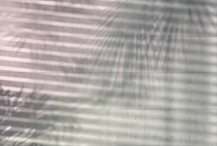 Komar Fotobehang - Shadows 368x248cm - Vliesbehang Multikleur