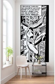 Komar Fotobehang - Spider-Man Classic Climb 100x200cm - Vliesbehang Multikleur