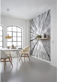 Komar Fotobehang - Weiss-Blau 450x280cm - Vliesbehang Multikleur