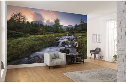 Komar Fotobehang - Wild Paradise 450x280cm - Vliesbehang Multikleur