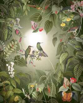 Komar Fotobehang - Wildlife Birds 200x250cm - Vliesbehang Multikleur