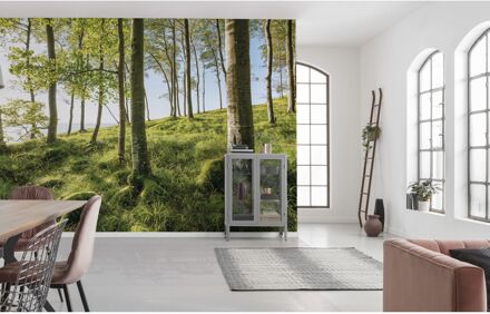 Komar Fotobehang - Zauberhaftes Buchenspektakel 450x280cm - Vliesbehang Multikleur