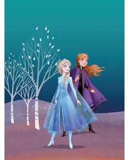 Komar Poster Frozen Anna & Elsa Blauw En Paars - 30 X 40 Cm - 610152