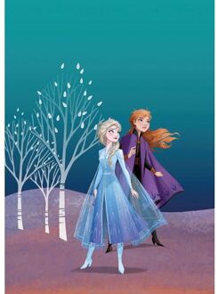 Komar Poster Frozen Anna & Elsa Blauw En Paars - 50 X 70 Cm - 610154